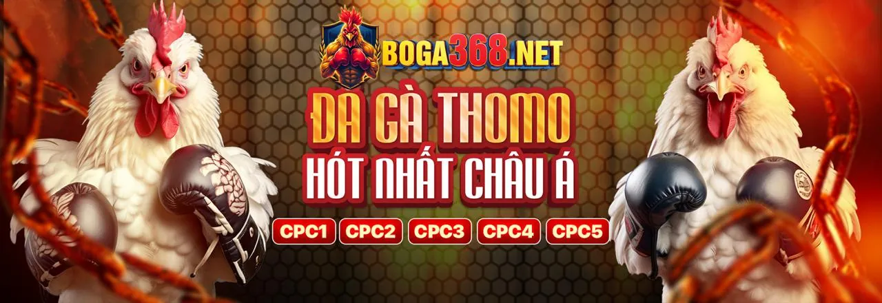 Cập nhật điều khoản dịch vụ 8day